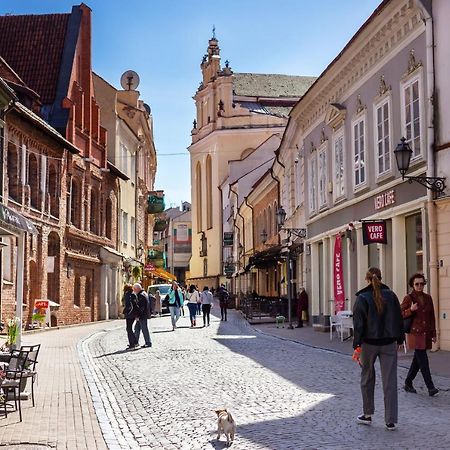 #Stayhere - Historic Vilnius Old Town Chic Studio Екстериор снимка