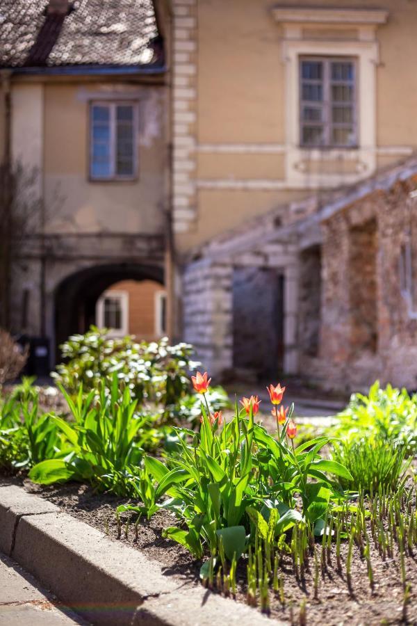 #Stayhere - Historic Vilnius Old Town Chic Studio Екстериор снимка