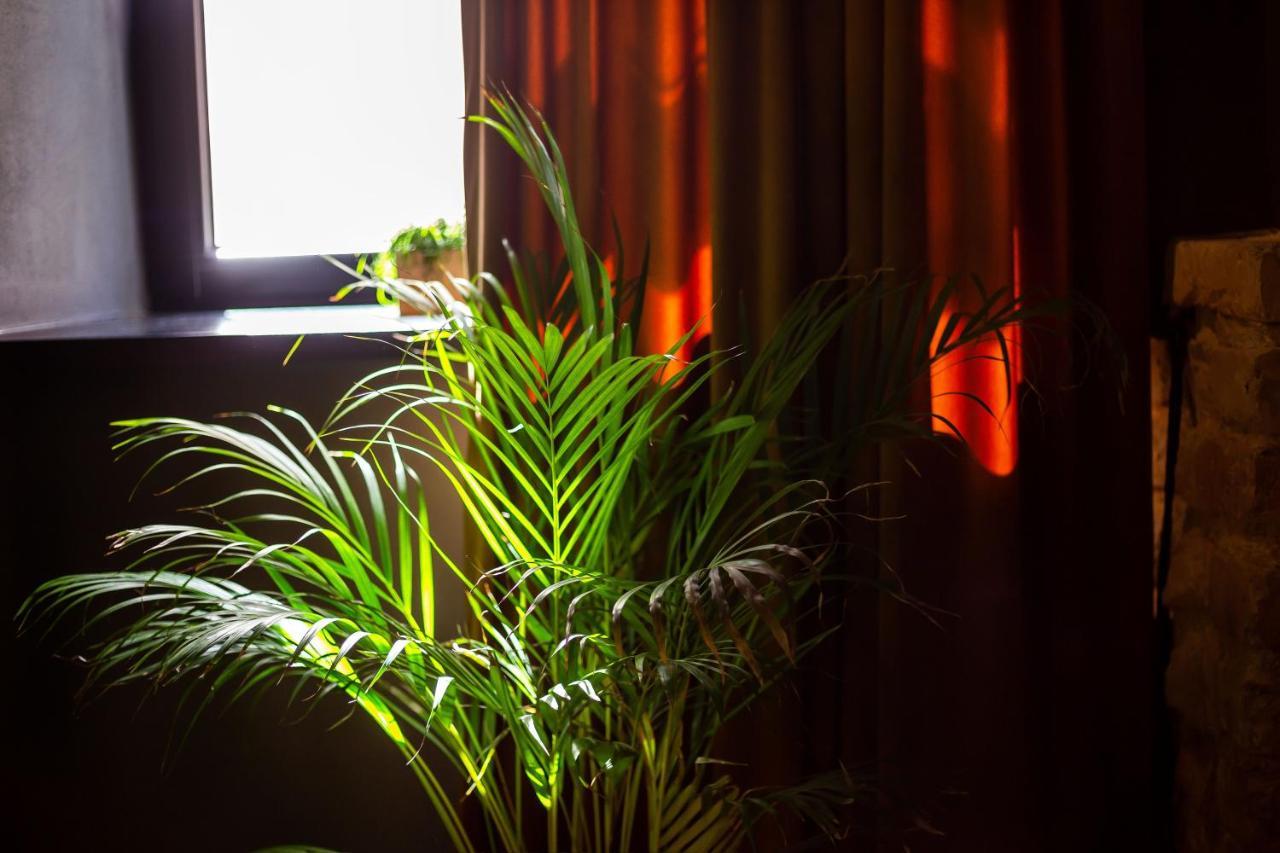 #Stayhere - Historic Vilnius Old Town Chic Studio Екстериор снимка
